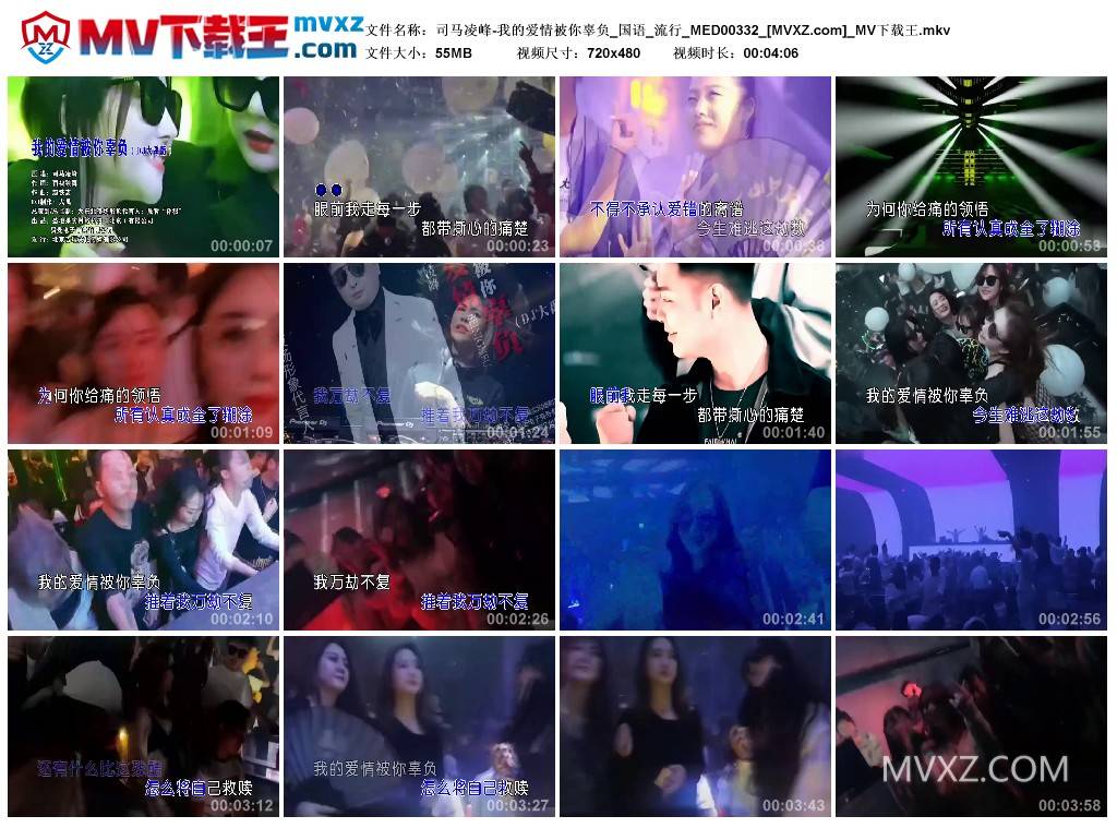 司马凌峰-我的爱情被你辜负_国语_流行_MED00332